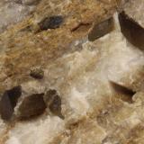 Dolomita (variedad teruelita)<br />Vilanova de la Sal, Comarca Noguera, Lérida / Lleida, Cataluña / Catalunya, España<br />65 x 40 x 45 mm, cristal mayor 7 x 3 mm<br /> (Autor: carles)