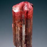 Elbaite
Danburitovaya pegmatite vein, Malkhan pegmatite field, Krasnyi Chikoy, Chitinskaya Oblast&rsquo;, Transbaikalia, Eastern-Siberian Region, Russia
1.8 x 4.2 cm
Cranberry-red, elbaite crystal with internal orange highlights, striated prism faces, and pyramidal termination. (Author: crosstimber)