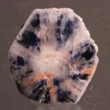 Corundum var. sapphire
Mogok, Burma
21 x 19 mm
Sapphire trapiche (Author: Don Lum)