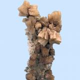Pyromorphite, quartz
Braubach, Bad Ems District, Rheinland-Pfalz, Germany
49 mm tall x 30 mm wide

Better in person (Author: Carles Millan)