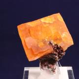 Wulfenite
79 Mine, Gila County, Arizona, USA
3.5 x 3.0 cm (Author: Don Lum)