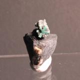 Beryl var emerald
Peña Blanca Mine, Municipio de San Pablo de Borbur, Vasquez-Yacopí, Boyacá, Colombia
21 x 14 mm (Author: Don Lum)