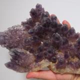 Amethyst
Tehuilotepec
24x16 cm
Now is coming more quality for this mine because we are digging 1mt below level surface. Like this. (Author: jorgedavid)