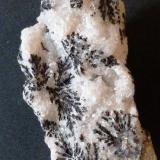 Óxidos de manganeso, dendritas sobre calcita
Marruecos
7 x 3,5 x 3 cm. (Autor: Felipe Abolafia)