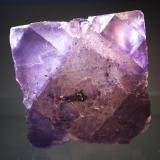 Fluorite
Elmwood Mine, Smith County, Tennessee, USA
11 x 10.7 cm (Author: Don Lum)