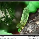 Olivenite
Christiana Mine, Kamariza Mines, Agios Konstantinos, Lavrion, Attikí, Greece
fov 3 mm (Author: ploum)