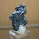 Hematite pseudo Magnetita (martita)
Volcán Payún Matru, Malargüe, Mendoza, Argentina.
50mm - 13mm - 21mm
Vista trasera. (Autor: Pedro Naranjo)
