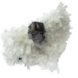 Galena on quartz
Palomo Mine, Castrovirreyna Province, Huancavelica Department, Peru
Specimen size 9 cm (Author: Tobi)