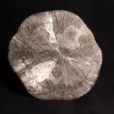 Pyrite
Sparta, Randolph County, Illinois, USA
14.7 x 14.2 cm
Pyrite Sun (Author: Don Lum)