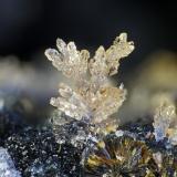 Phosphosiderita, Rockbridgeita
Albères massif, Pyrénées-Orientales, Languedoc-Roussillon, Francia
1.8mm (Autor: pfont)