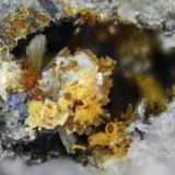 Laueita, Strunzita, Jahnsita-(CaMnMn), Strengite, Rockbridgeite
Albères massif, Pyrénées-Orientales, Languedoc-Roussillon, Francia
15mm (Autor: pfont)