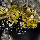 Cacoxenita, Variscita
Albères massif, Pyrénées-Orientales, Languedoc-Roussillon, Francia
3mm (Autor: pfont)