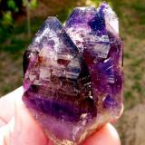 Quartz variety amethyst.
Brandberg Area, Erongo, Namibia
57 x 49 x 41 mm (Author: Pierre Joubert)