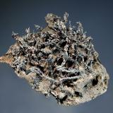 Dyscrasite
Příbram, Central Bohemia Region, Czech Republic
4.1 x 5.0 cm
Metallic dyscrasite crystals with an iridescent tarnish on stibarsen matrix. Collected in 1982. (Author: crosstimber)