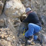 Neil Prenn intent on digging quartz in a pocket. (Author: Tony L. Potucek)