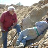 Ian Merkel attempting to reach more specimens from Ronna’s pocket.  Jerry Rosenthal, who worked the pocket with Ronna is standing next to Ian. (Author: Tony L. Potucek)