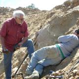 Ian Merkel attempting to reach more specimens from Ronna’s pocket.  Jerry Rosenthal, who worked the pocket with Ronna is standing next to Ian. (Author: Tony L. Potucek)