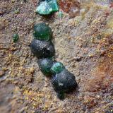 Pseudomalaquita.Trapero Mine, Cardeña, Comarca Los Pedroches, Córdoba, Andalusia, SpainCampo de visión de 5 mm. (Autor: Antonio Carmona)