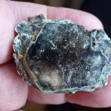 CloritaMina La Herrería, Burguillos del Cerro, Comarca Zafra-Río Bodión, Badajoz, Extremadura, España5 x 4 cm. (Autor: javier ruiz martin)