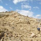 Here you can just make out some small pockets that have been cleaned out near the top of wall.  Most are small and occur in a variety of shapes. (Author: John S. White)