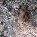 Geoda Montseny - 30 abril 2014 001.jpg (Author: Joan Martinez Bruguera)