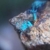 LavendulanaDolores outcrop, Pastrana, Mazarrón / Águilas, Comarca Alto Guadalentín, Region of Murcia (Murcia), Spain2 x 2 cm (Autor: Alvaro2121)