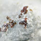Anatasa.<br />Cantera Forgoselo, Maciñeira, As Pontes de García Rodríguez, Comarca Eume, La Coruña / A Coruña, Galicia / Galiza, España<br />Campo de visión de 5 mm.<br /> (Autor: Antonio Carmona)