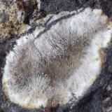 Natrolita-Mesolita<br />Montaña Blanca-Pueblo de Agaete, Agaete, Gran Canaria, Provincia de Las Palmas, Canarias, España<br />Geoda de 1 cm<br /> (Autor: Cristalino)