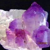 Quartz Amethyst
Kakamunurle Quarry, Tamil Nadu  India
5.5 x 6.5 x 2 cm. (Author: barbie90)