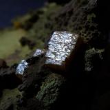 Wulfenite on Mottramite
Ojuela mine, Mun de Mapimi, Durango, Mexico
Wulfenite to 5 mm. (Author: nurbo)