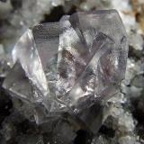 Fluorite on Quartz.
Bayles Hush, Newbiggin,Teesdale, Co Durham, England, UK.
Fluorite max dimension 9 mm (Author: nurbo)