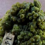 Pyromorphite
Cumberland, England, UK.
FOV 18 x 18 mm approx (Author: nurbo)