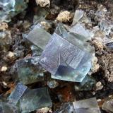 Fluorite, Galena, cerussite (?)
Rogerley Mine, Weardale, Co Durham, England, UK.
Fluorite to 7 mm (Author: nurbo)