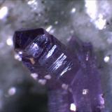 Quartz Var. Amethyst
Cava Capurru, Osilo Sassari, Sardegna, Italia
1cm x .5cm x .5cm (Author: Mark Ost)