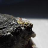 Gold and Quartz
Wright Hardgrave Mine, Kirkland Lake, Ontario, Canada
4cmx4cm (Author: derrick)