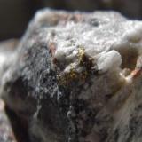 Gold and Quartz
Wright Hardgrave Mine, Kirkland Lake, Ontario, Canada
4cmx3cm (Author: derrick)