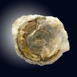 AragonitoMina San Antonio (Mina San Antonio el Grande), Campo Este, Distrito Santa Eulalia, Municipio Aquiles Serdán, Chihuahua, México11.0 cm. X 10.0 cm. X 6.5 cm. (Autor: jesus salinas)