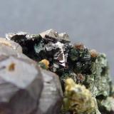Granate, Anfíbol (variedad uralita), Magnetita, Calcita, PiritaMilucha Mine, Palombatos, Burguillos del Cerro, Comarca Zafra-Río Bodión, Badajoz, Extremadura, Spain4 x 3 cm. (Autor: javier ruiz martin)
