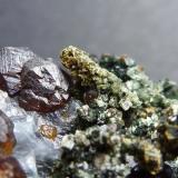 Granate, Anfíbol (variedad uralita), Magnetita, Calcita, PiritaMilucha Mine, Palombatos, Burguillos del Cerro, Comarca Zafra-Río Bodión, Badajoz, Extremadura, Spain4 x 3 cm. (Autor: javier ruiz martin)