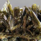 Epidota<br />Barranc de les Collades, Pantà d'Escales, Casterner de les Olles, Tremp, Comarca Pallars Jussà, Lérida / Lleida, Cataluña / Catalunya, España<br />53 x 46 x 33mm.<br /> (Autor: José Luis Zamora)