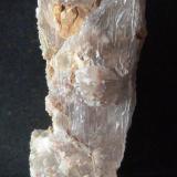 YesoPuente Tablas, Jaén ciudad, Jaén, Comarca Metropolitana de Jaén, Andalucía, España2,5 x 7 x 2 cm. (Autor: Felipe Abolafia)