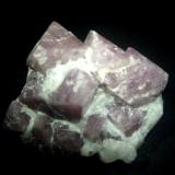 Espinela<br />Mina Sungate, An Phu, Luc Yen, Provincia Yenbai, Vietnam<br />60x60 mm.<br /> (Autor: Jesus Franquesa Baucells)