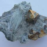 Pirita Octaédrica, TremolitaLa Herrería Mine, Burguillos del Cerro, Comarca Zafra-Río Bodión, Badajoz, Extremadura, Spain4 x 3 cm. (Autor: javier ruiz martin)