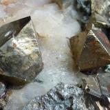 Pirita, Calcita, Tremolita, Magnetita, Actinolita, CloritaLa Herrería Mine, Burguillos del Cerro, Comarca Zafra-Río Bodión, Badajoz, Extremadura, Spain6 x 6 cm. (Autor: javier ruiz martin)