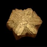 AragonitoAfloramiento del Keuper, Barranco El Retamal, Enguídanos, Comarca Manchuela Conquense, Cuenca, Castilla-La Mancha, España5 x 3 x 1,5 Cm. (Autor: Quexigal)