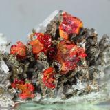 RejalgarMina Palomo, Provincia Castrovirreyna, Departamento Huancavelica, Perú62x41x32 mm (Autor: Juan Espino)