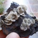Barita<br />Mines Can Palomeres, Malgrat de Mar, Comarca Maresme, Barcelona, Cataluña / Catalunya, España<br />6 x 5 cm<br /> (Autor: Cristalino)