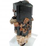 Aegirina, zircón, ortoclasa, parisita-(Ce)Mount Malosa, Zomba District, Malawi82 mm x 66 mm. Cristal principal: 82 mm de altura (Autor: Carles Millan)
