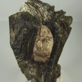 Monacita sobre Mica.<br />Vegusdal, Birkenes, Aust-Agder, Noruega<br />60x40 mm<br /> (Autor: Jesus Franquesa Baucells)