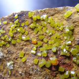 Wulfenita y PiromorfitaMina Luis, filón Norte, Minas del General, Cabezarrubias del Puerto, Comarca Valle de Alcudia, Ciudad Real, Castilla-La Mancha, España2mm (Autor: yowanni)